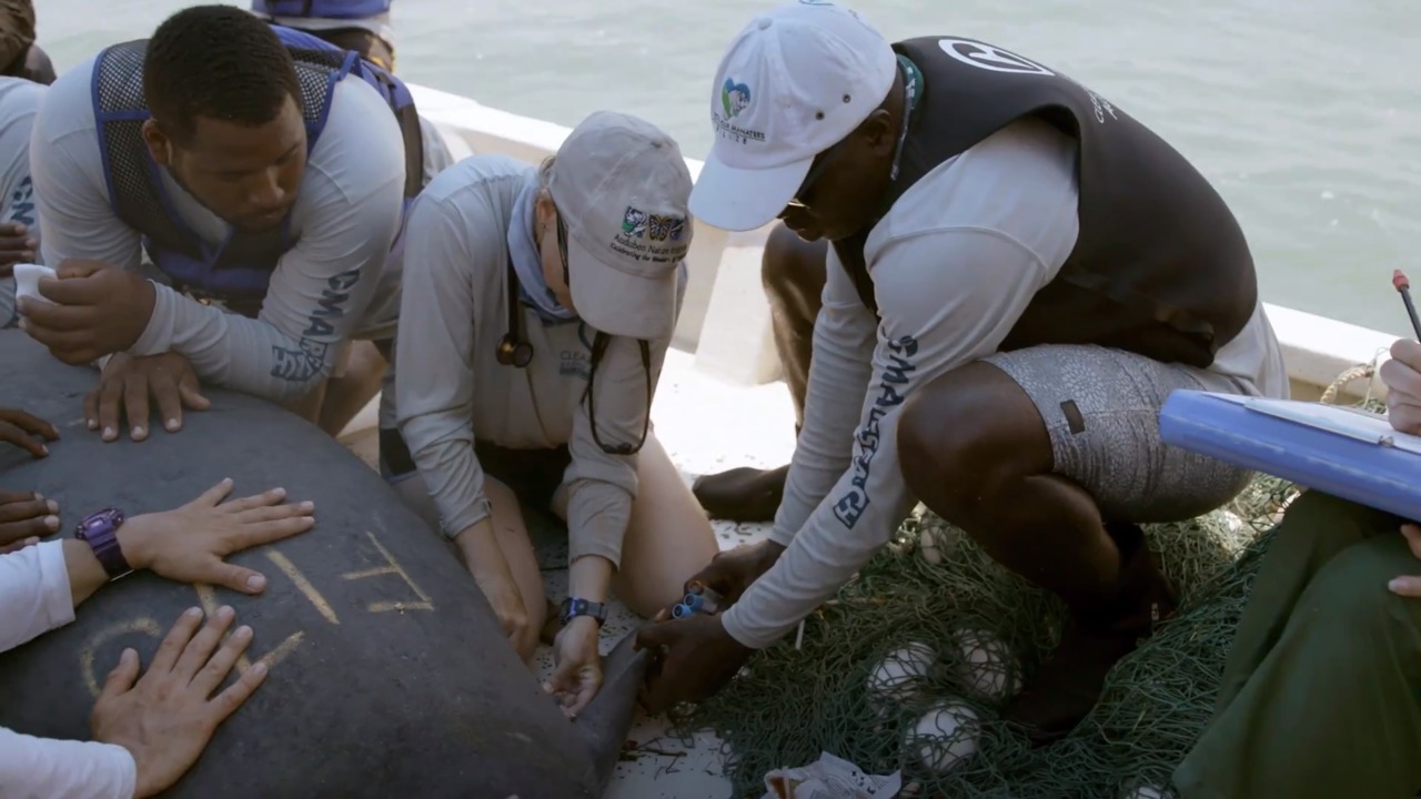 Explorers at Work Jamal Galves